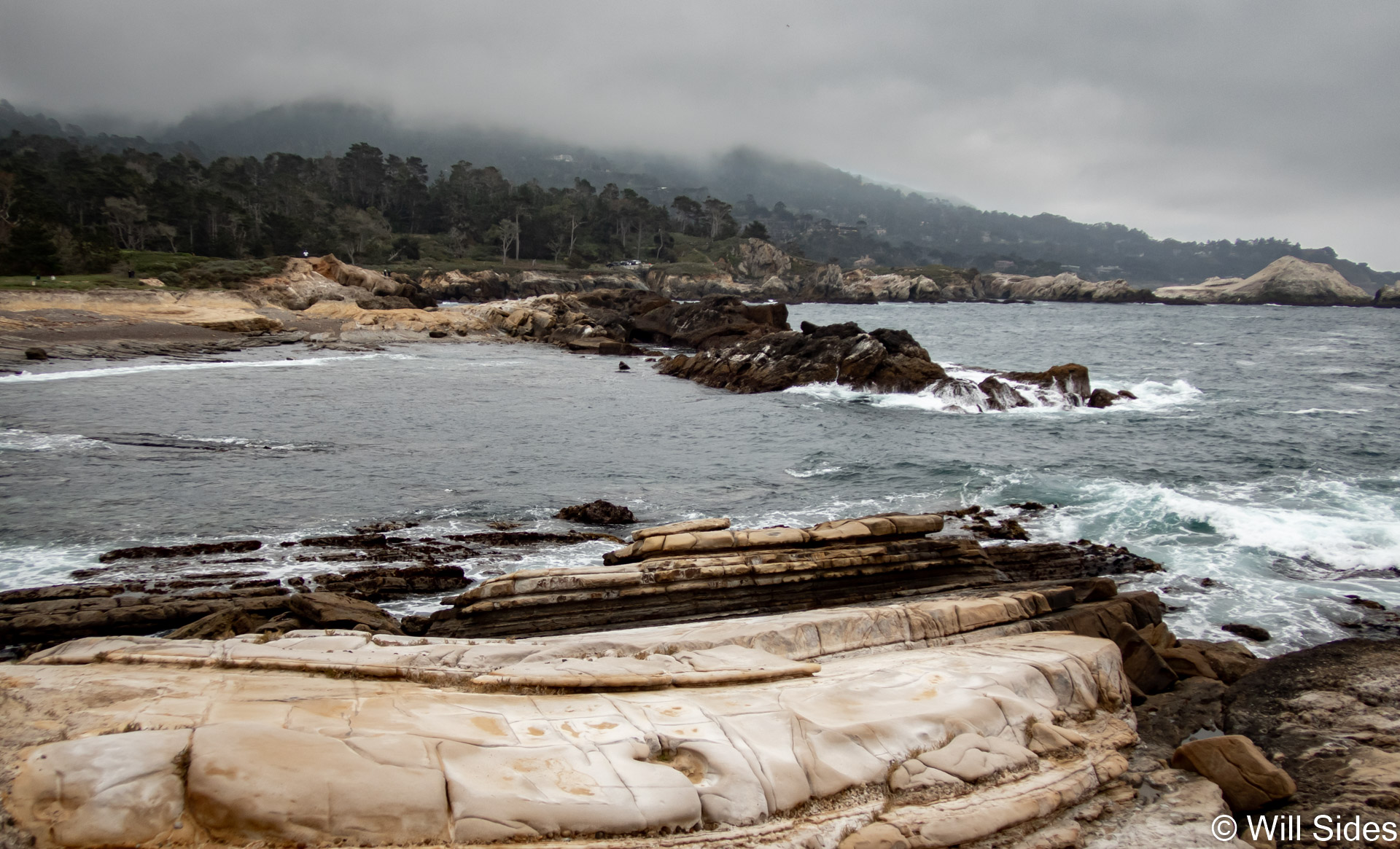 Breakwater Dive and Point Lobos